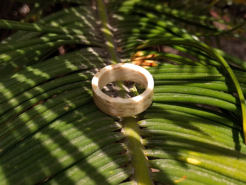 Driftwood Wood Ring All Wood Rings Wedding Bands GrownRings Driftwood, Handmade, mens wedding band, wooden ring men, wooden engagement ring, wooden wedding ring, wooden wedding band, Driftwood Ring, Sailing ring, Destination wedding, alternative wedding