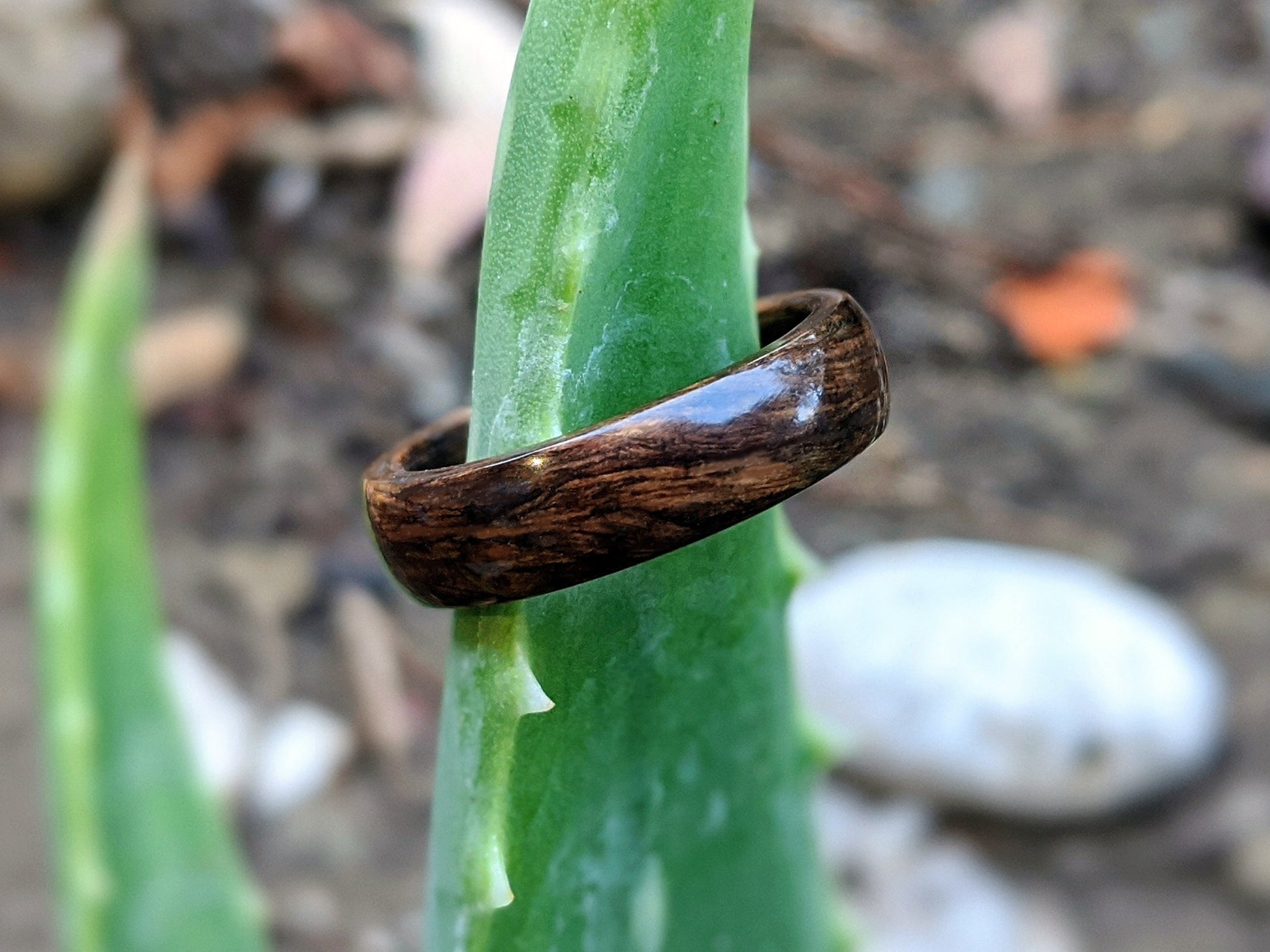 American Black Walnut Wood Ring All Wood Rings Wedding Bands GrownRings Walnut, Handmade, Reclaimed Wood, mens ring, mens wood ring, wooden wedding band, unique wedding bands, cool mens rings, Mens Ring Handmade, mens Walnut Ring, wood inlay, Male wedding bands, Custom wood ring