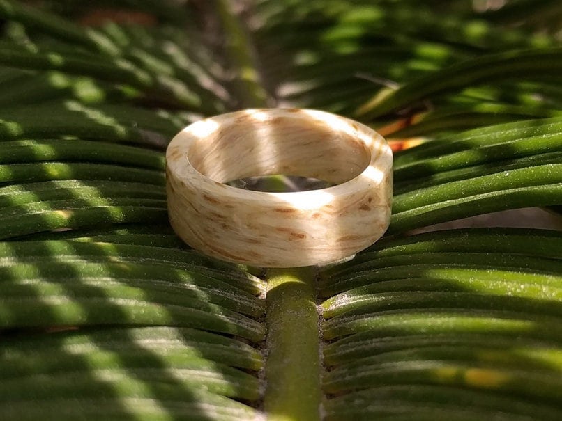 Driftwood Wood Ring All Wood Rings Wedding Bands GrownRings Driftwood, Handmade, mens wedding band, wooden ring men, wooden engagement ring, wooden wedding ring, wooden wedding band, Driftwood Ring, Sailing ring, Destination wedding, alternative wedding